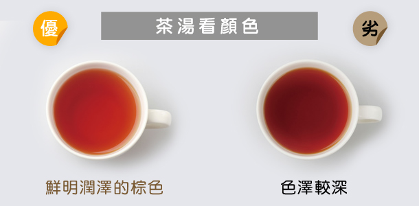 Alt Image Text