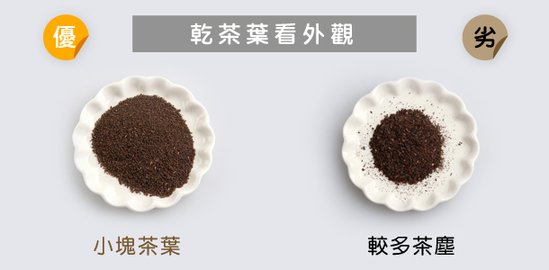 Alt Image Text