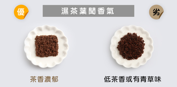 Alt Image Text